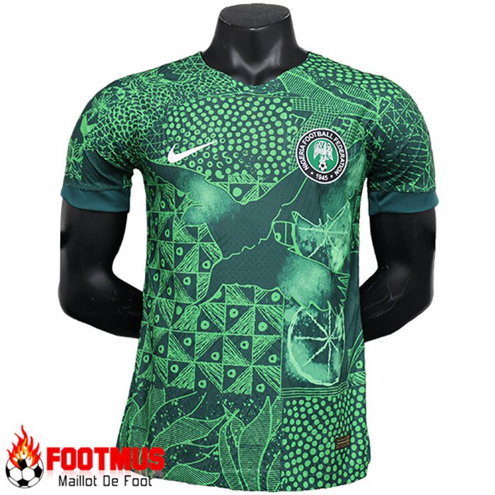 Jeu De Maillot Equipe Foot Nigeria Special Edition Vert Moins